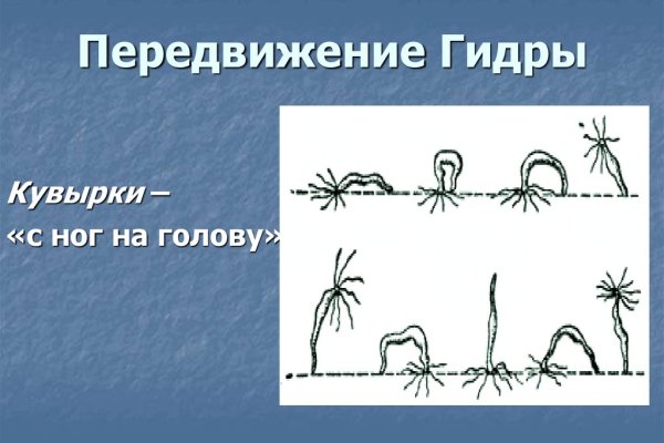 Кракен макет плейс