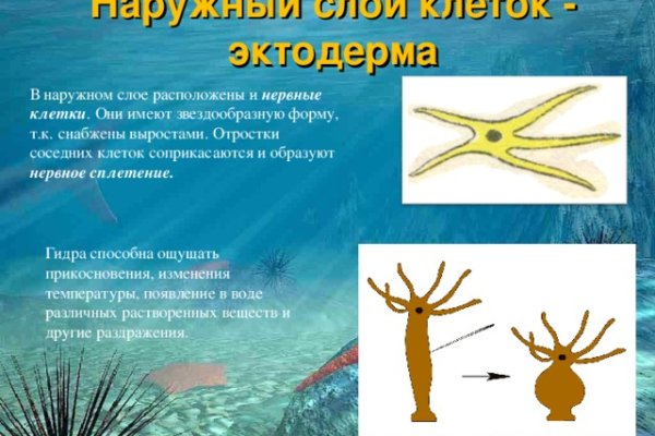 Кракен даркнет площадка