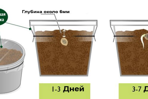 Кракен сайт тор ссылка